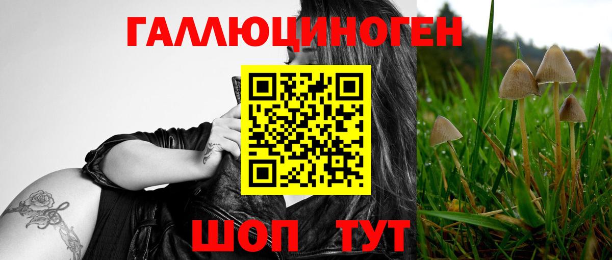 Усинск  Галлюциногенные грибы Magic Shrooms  Вход с VPN 